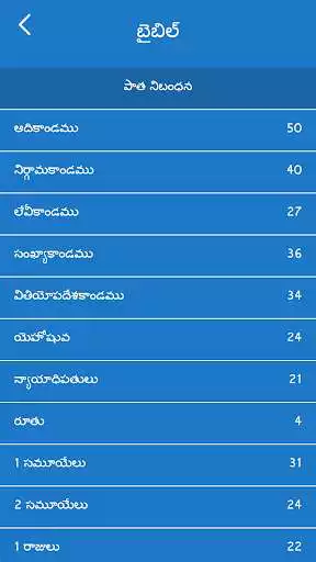 Play Telugu Bible Offline