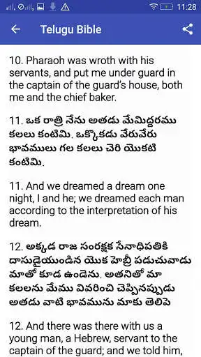 Play Telugu Bible online