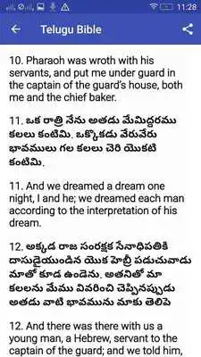 Play Telugu Bible online
