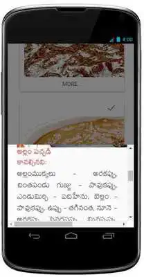 Play Telugu Chutneys