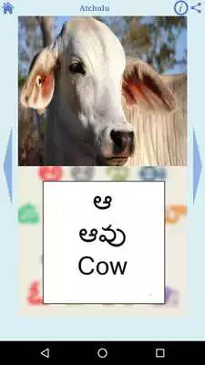 Play Telugu for Kids (Free)