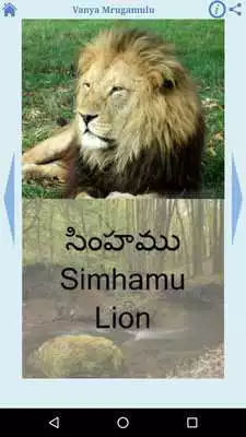 Play Telugu for Kids (Free)