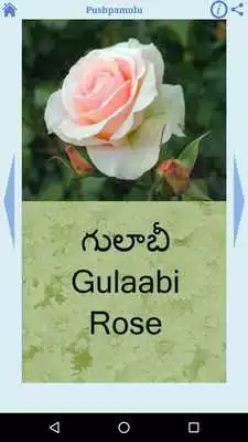 Play Telugu for Kids (Free)