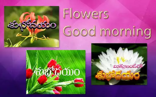 Play Telugu Good Morning Greetings as an online game online Telugu Good Morning Greetings with UptoPlay Play Telugu Good Morning Greetings as an online game Telugu Good Morning Greetings with UptoPlay