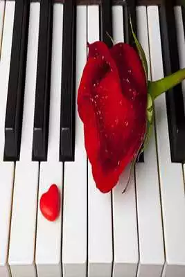 Play Telugu Romantic Songs