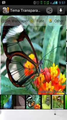 Play Tema Transparan Android