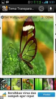 Play Tema Transparan Android