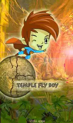 Play Temple Fly Boy