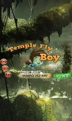 Play Temple Fly Boy