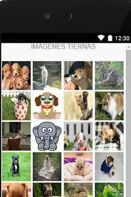 Play tender pictures of animals