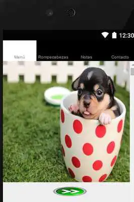 Play tender pictures of animals