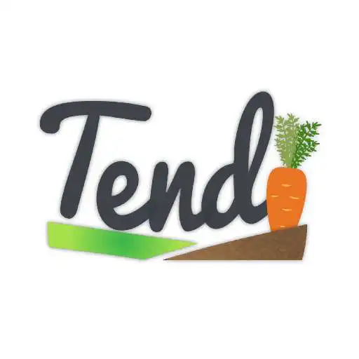 Play Tendi APK