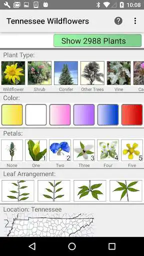 Play Tennessee Wildflowers  and enjoy Tennessee Wildflowers with UptoPlay