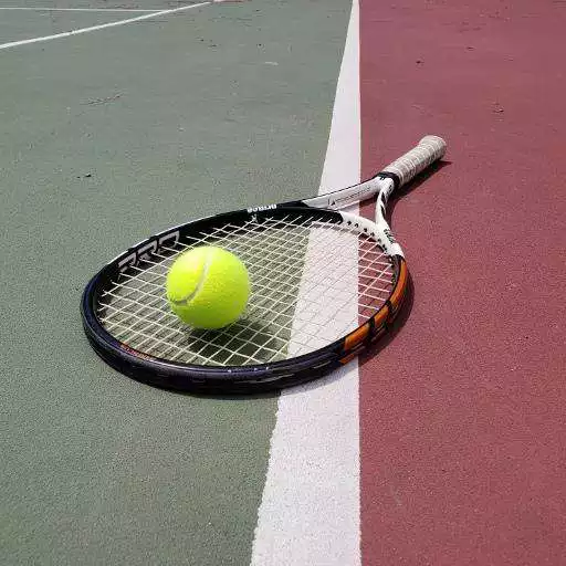 Play Tennis Racquet Balance Calculator APK