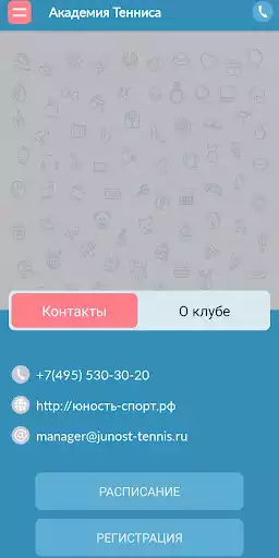 Play Tennis