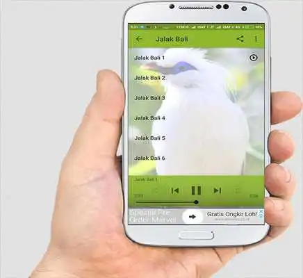 Play TERAPI JALAK SUREN Play TERAPI JALAK SUREN