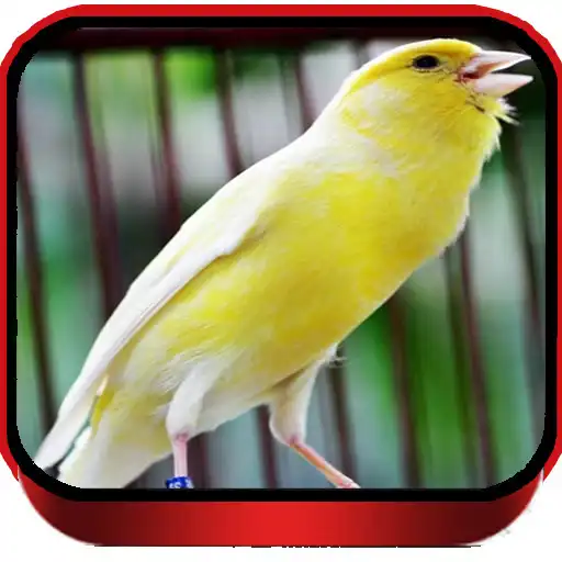 Play TERAPI KENARI F1 MASTER APK