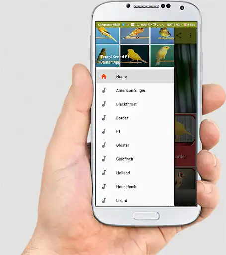 Play TERAPI KENARI F1 MASTER  and enjoy TERAPI KENARI F1 MASTER with UptoPlay