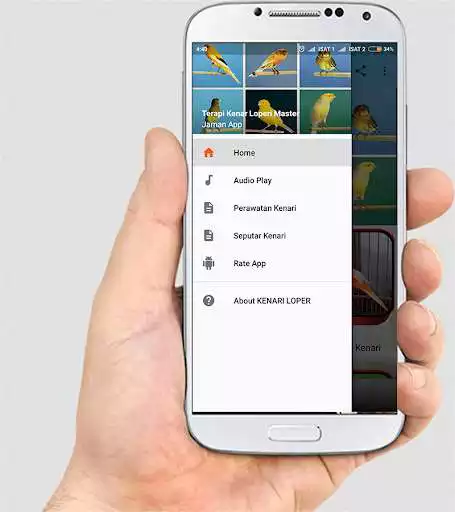 Play TERAPI KENARI LOPER MASTER  and enjoy TERAPI KENARI LOPER MASTER with UptoPlay