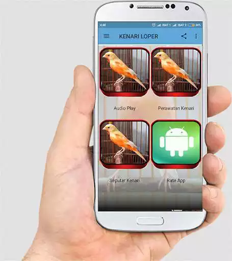 Play TERAPI KENARI LOPER MASTER as an online game TERAPI KENARI LOPER MASTER with UptoPlay