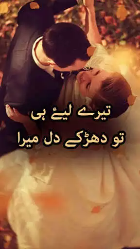 Play Tere Liye Hi To Dharke Dil Mera Novel by Lee Aaun  and enjoy Tere Liye Hi To Dharke Dil Mera Novel by Lee Aaun with UptoPlay