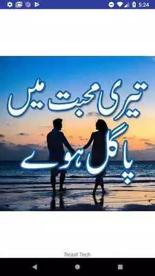 Play Teri mohabbat mein pagal