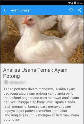 Play Ternak Ayam Broiler Rumahan and enjoy Ternak Ayam Broiler Rumahan with UptoPlay Play Ternak Ayam Broiler Rumahan and enjoy Ternak Ayam Broiler Rumahan with UptoPlay