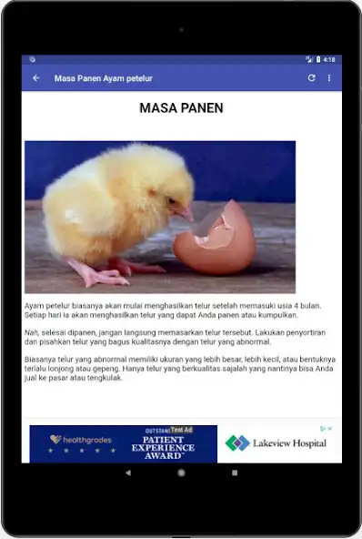 Play Ternak Ayam Petelur  and enjoy Ternak Ayam Petelur with UptoPlay