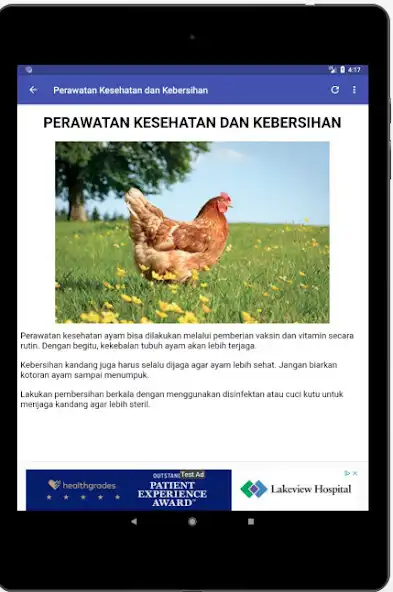 Play Ternak Ayam Petelur as an online game Ternak Ayam Petelur with UptoPlay