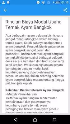 Play Ternak Ayam