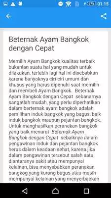 Play Ternak Ayam