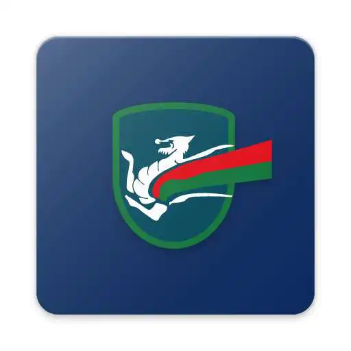Play Terni League APK