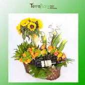 Free play online Terraflora florists in Lebanon APK