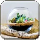 Free play online Terrarium Design Ideas APK Free play online Terrarium Design Ideas APK