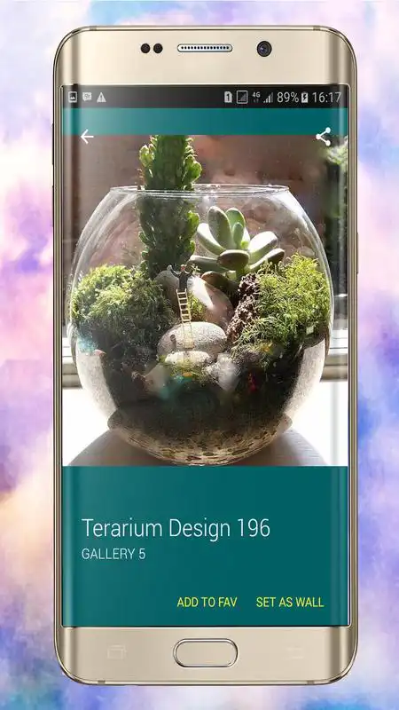 Play Terrarium Design Ideas