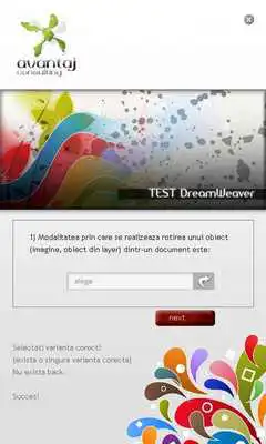 Play test web design avansat Play test web design avansat