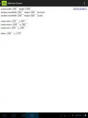 Play Test WebView Screen