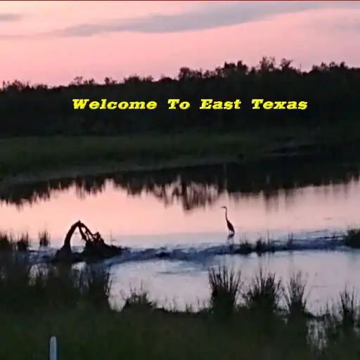 Play Texas Day Tours - East Texas APK