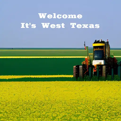 Play Texas Day Tours - West Texas APK