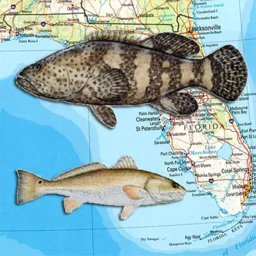 Free play online Texas Fishing Reef Maps APK