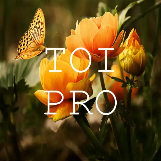 Play Text Over Image PRO APK Play Text Over Image PRO APK