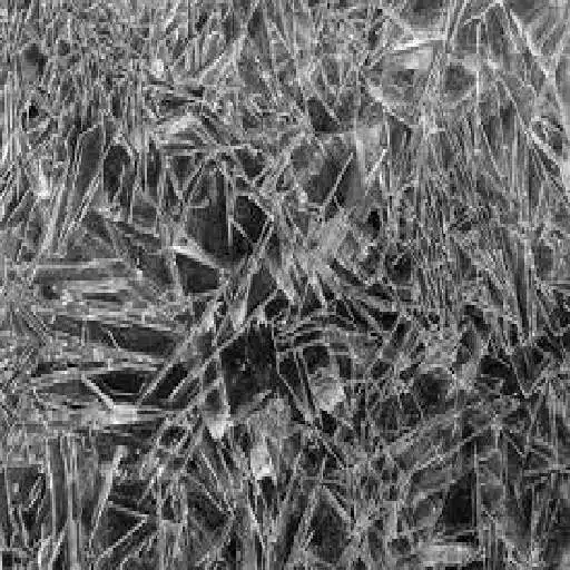 Free play online Texture APK