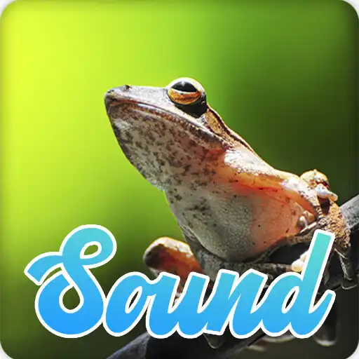 Play Thai Frog Sounds Effect APK