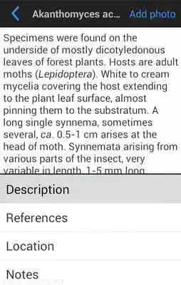 Play Thai Fungi Lite