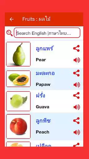 Play Thai Word Book as an online game Thai Word Book with UptoPlay