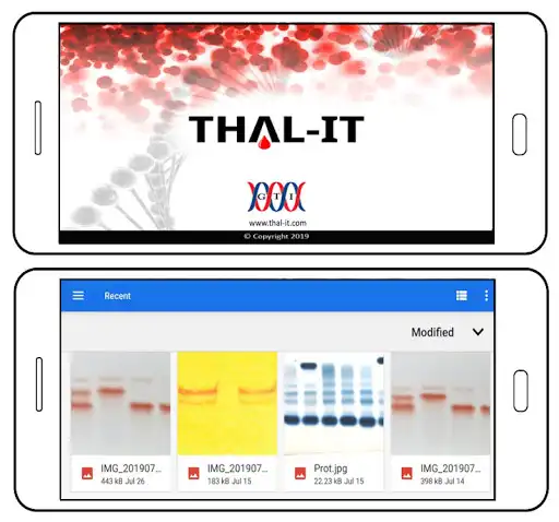 Play Thal-IT  and enjoy Thal-IT with UptoPlay