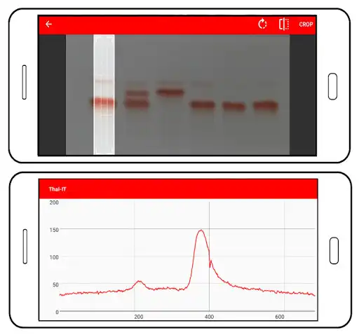 Play Thal-IT as an online game Thal-IT with UptoPlay