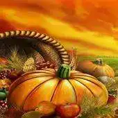 Free play online Thanksgiving Day Magic 2015 APK