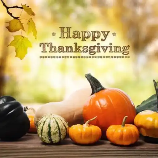 Play Thanksgiving GIF APK