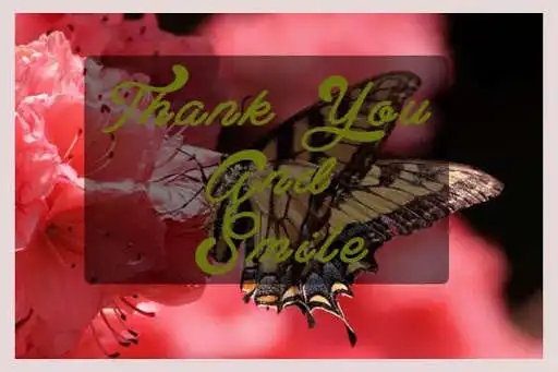 Play Thank You Greeting Cards as an online game Thank You Greeting Cards with UptoPlay